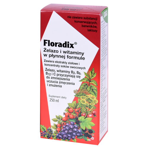 floradix-żelazo-250ml-kv.png