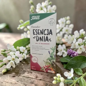 Floradix Esencja Dnia 250ml 